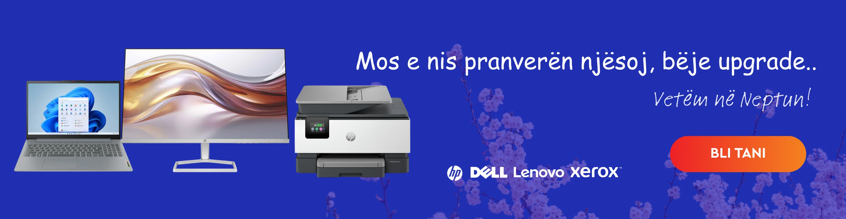 IT SPRING OFFERS