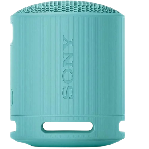 SONY BOKS BLUETOOTH SRSXB100